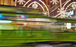 020 - hochzeitstraemmli